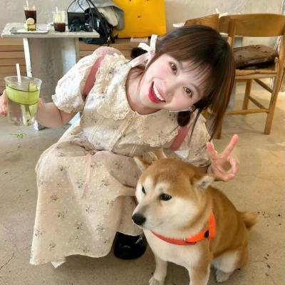 瓢虫 瓢虫 海报