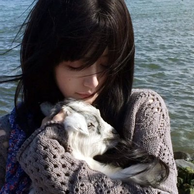 坚果行动2 海报